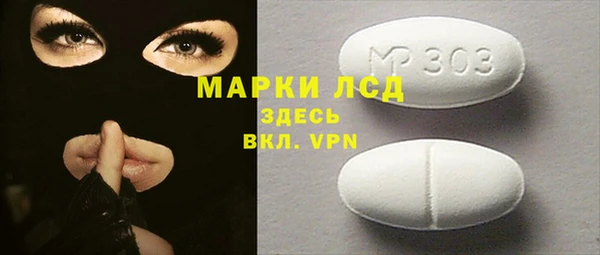 шишки Надым