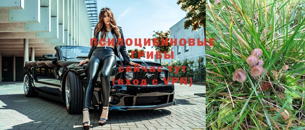 винт Михайловка