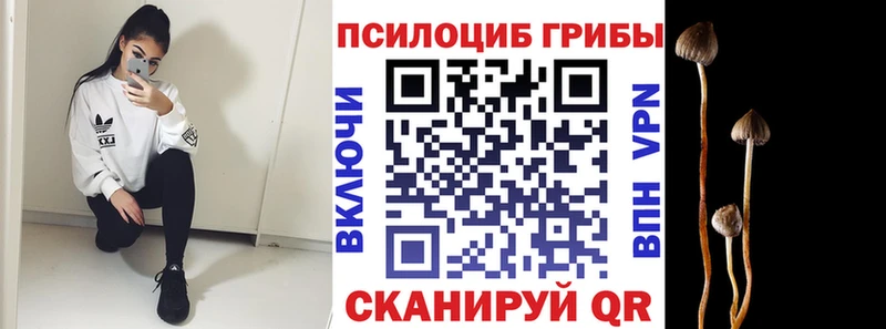 Псилоцибиновые грибы Cubensis  OMG онион  Приморско-Ахтарск 